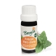 Herbal oil - essential oil mix 10 ml. - Bergila